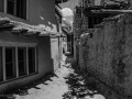 DSC_4141