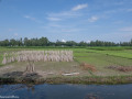 DSC8764