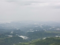 Simien-135
