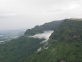 Simien-136