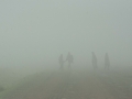 Simien-284