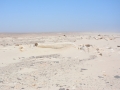 Skeleton Coast-23