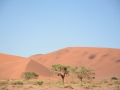 Soussouvlei-56