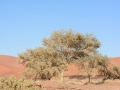 Soussouvlei-58