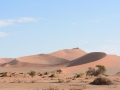 Soussouvlei-59