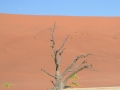 Soussouvlei-71