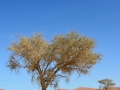 Soussouvlei-72