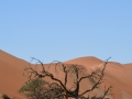 Soussouvlei-77