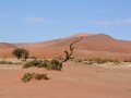 Soussouvlei-78