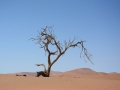 Soussouvlei-79