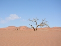 Soussouvlei-80