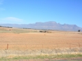 south-4