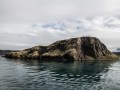 DSC_6049