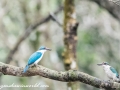 Sundarbans (34 of 97)