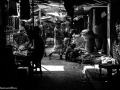 DSC1744
