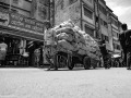 DSC2110