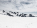 Franz Josef Glacier-18