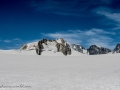 Franz Josef Glacier-19