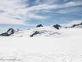 Franz Josef Glacier-21