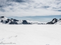 Franz Josef Glacier-22