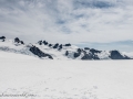 Franz Josef Glacier-24