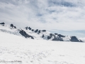 Franz Josef Glacier-28