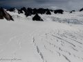 Franz Josef Glacier-34