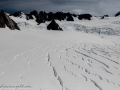 Franz Josef Glacier-34