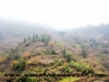annhui hike (13 of 46)