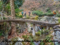 annhui hike (22 of 46)
