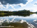 DSC1819