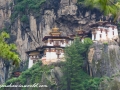 tigers nest (72 of 77)