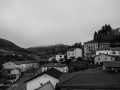 DSC_1319