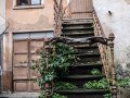 DSC_1320