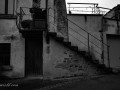 DSC_1321