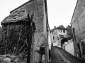 DSC_1352