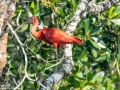 DSC0969