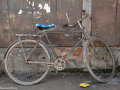 DSC0496