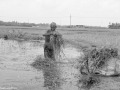 DSC9491