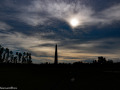 DSC9877