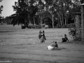 DSC_8867