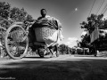 DSC1479