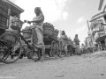 DSC1552