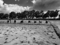 DSC1696