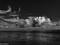 DSC1717