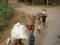 Togo-163