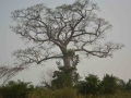 Togo-28