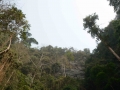 Togo-58