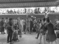 DSC7104