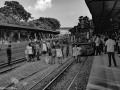 DSC7129